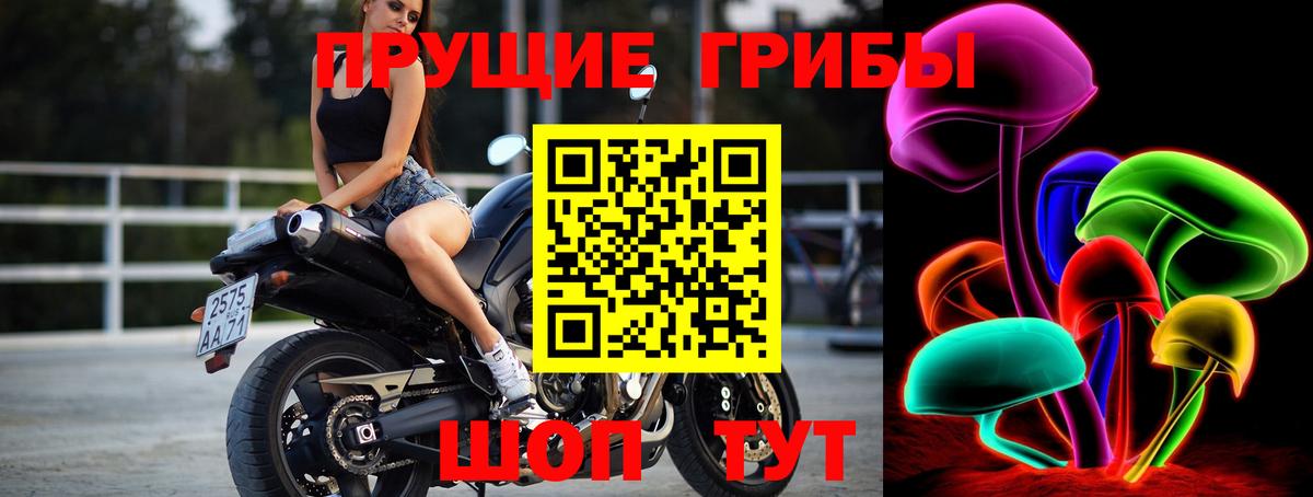 Светлоград  Псилоцибиновые грибы MAGIC MUSHROOMS  где можно купить наркотик  Вход с VPN  Галлюциногенные грибы Magic Shrooms 